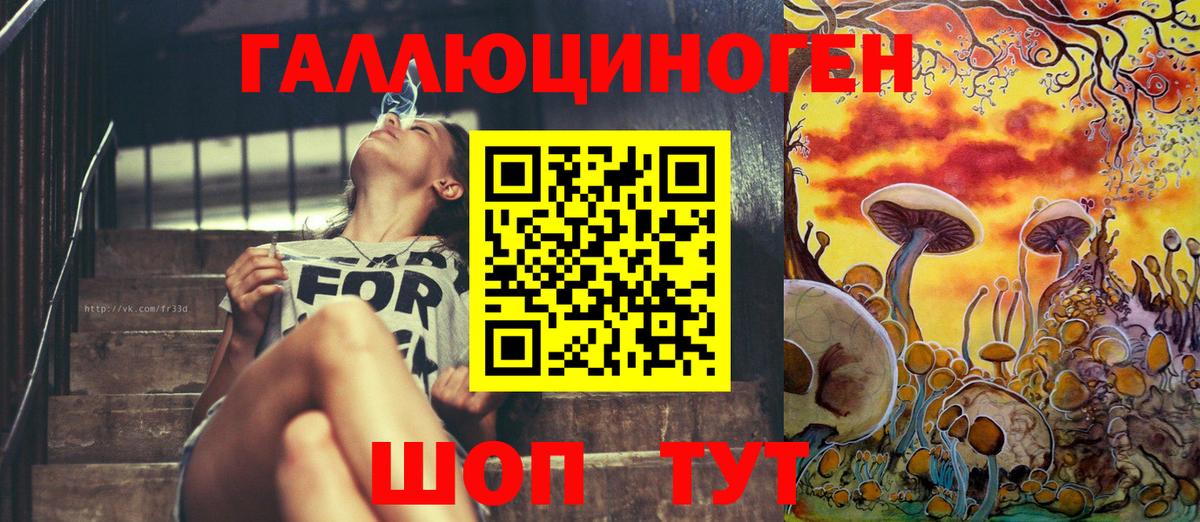 Белебей  Галлюциногенные грибы Psilocybine cubensis  Вход с VPN 